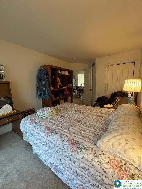 255 Ridings Cir, Macungie Boro, PA 18062 - bedroom featuring carpet floors