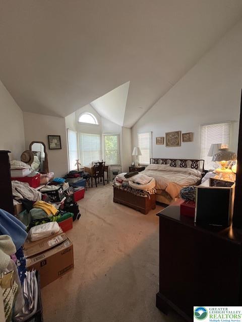255 Ridings Cir, Macungie Boro, PA 18062 - bedroom featuring carpet floors and high vaulted ceiling