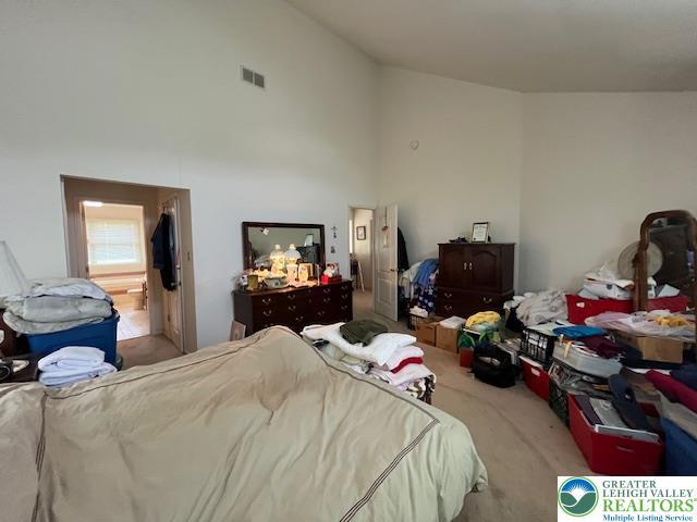 255 Ridings Cir, Macungie Boro, PA 18062 - bedroom featuring carpet flooring and high vaulted ceiling