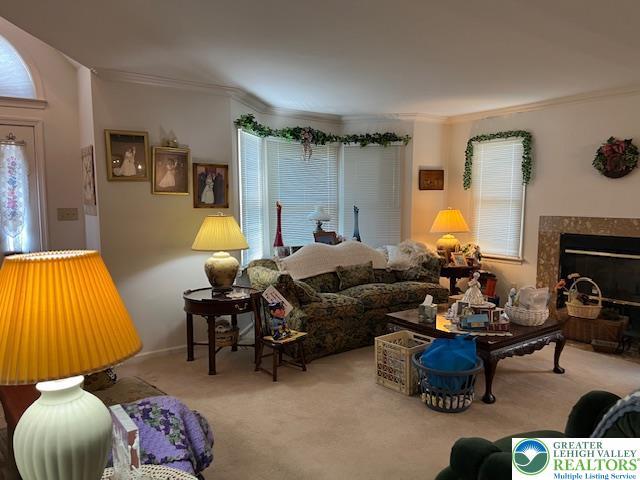 255 Ridings Cir, Macungie Boro, PA 18062 - carpeted living room with ornamental molding and a fireplace