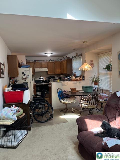 255 Ridings Cir, Macungie Boro, PA 18062 - living area featuring light carpet