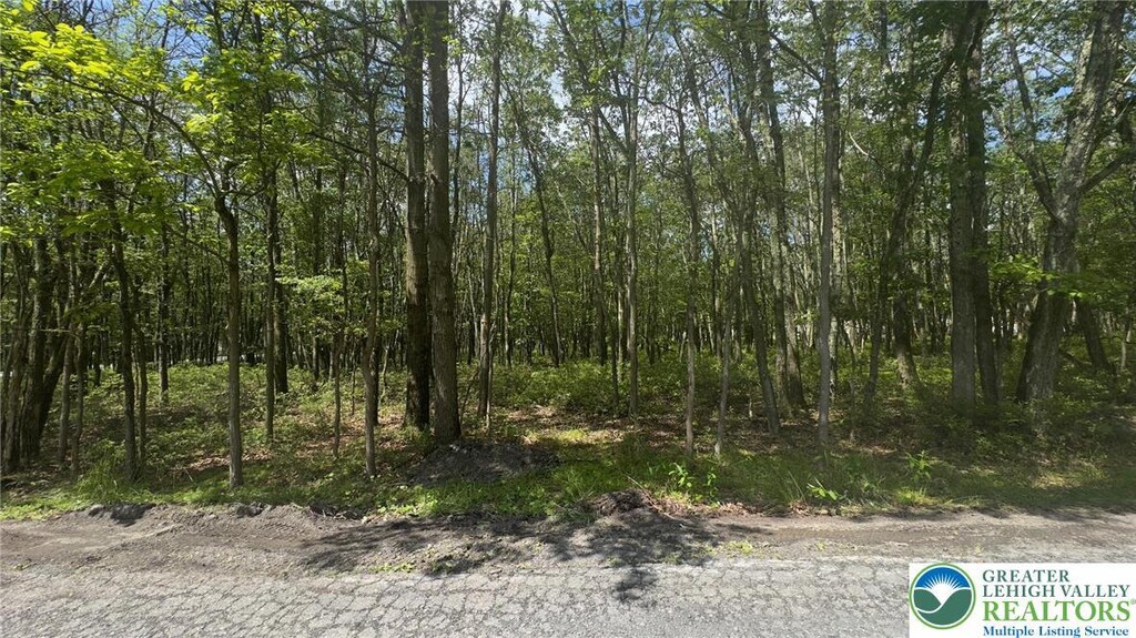 Seneca Trl, Penn Forest Twp, PA 18210 - photo 1