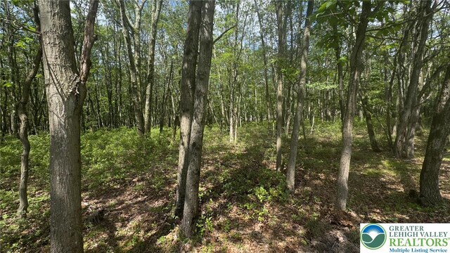Seneca Trl, Penn Forest Twp, PA 18210 - photo 2
