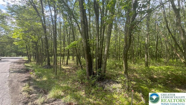 Seneca Trl, Penn Forest Twp, PA 18210 - photo 3