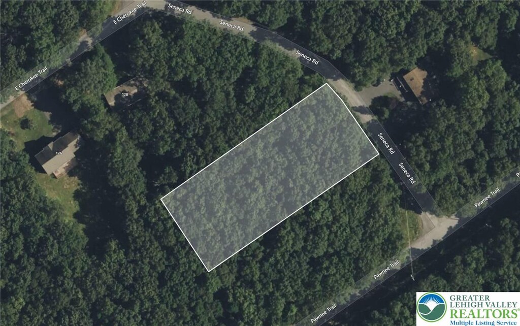 Seneca Trl, Penn Forest Twp, PA 18210 - photo 4