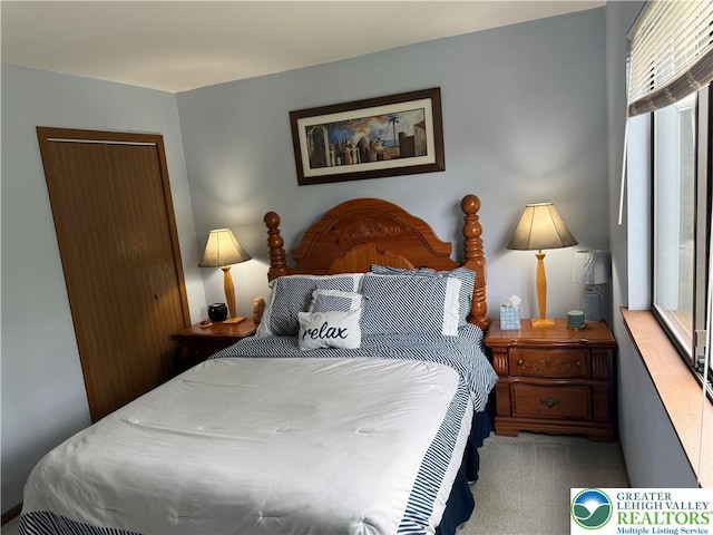 3353 Windermere Dr, Lehman Twp, PA 18324 - bedroom with carpet flooring and a closet