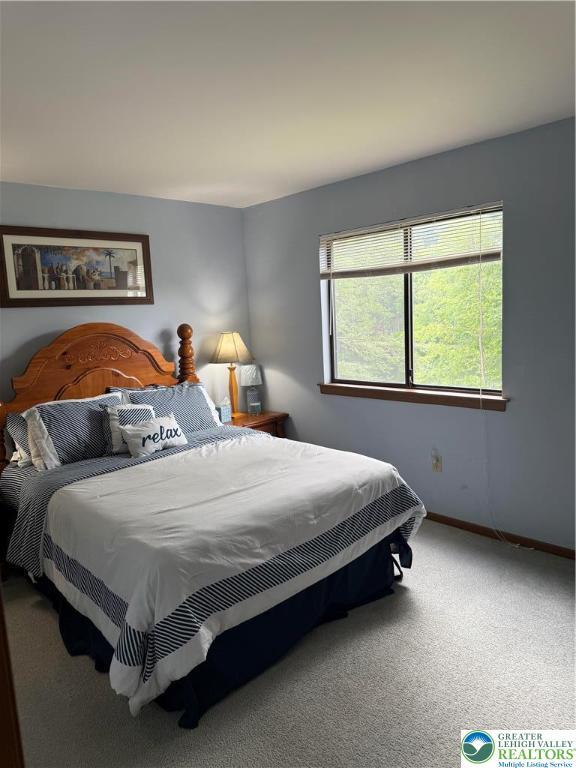 3353 Windermere Dr, Lehman Twp, PA 18324 - carpeted bedroom with baseboards
