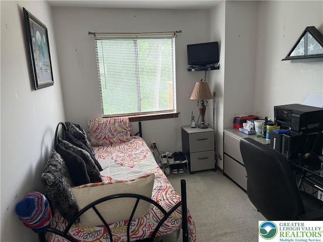 3353 Windermere Dr, Lehman Twp, PA 18324 - bedroom with light colored carpet and an office area
