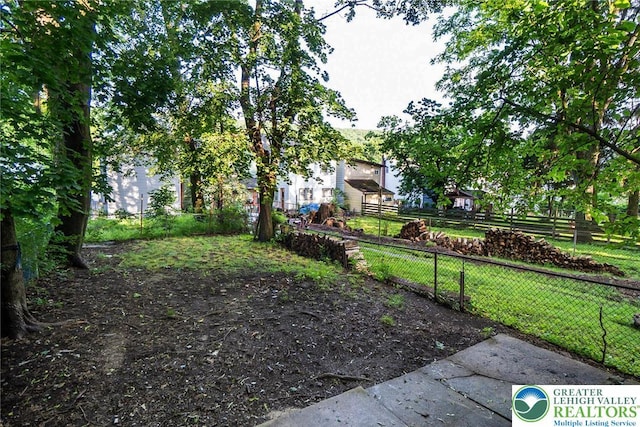 226 Fern St, Jim Thorpe Boro, PA 18229 - view of yard