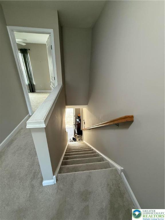 1499 Artisan Ct, Upper Macungie Twp, PA 18031 - staircase featuring carpet floors and baseboards