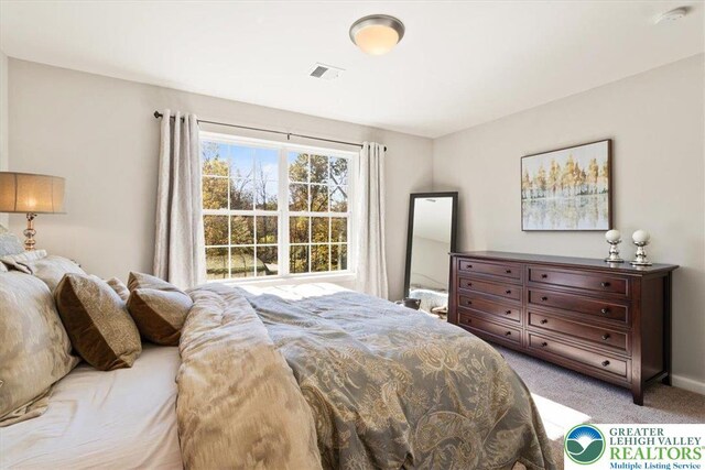 77 Tumble Creek Rd Unit 14, Williams Twp, PA 18042 - bedroom with light colored carpet