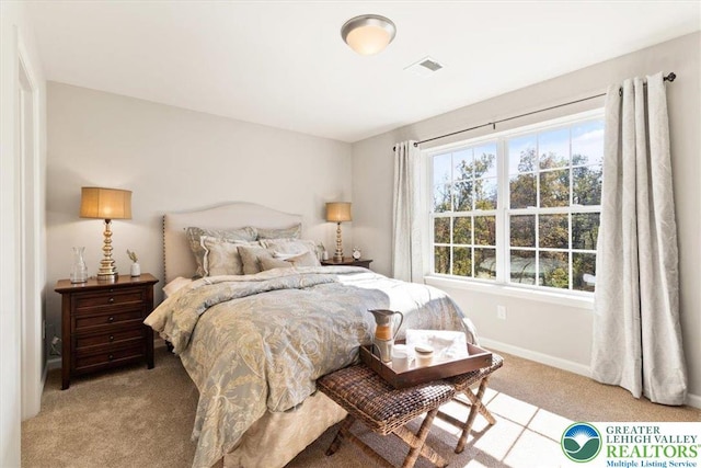 77 Tumble Creek Rd Unit 14, Williams Twp, PA 18042 - bedroom with light colored carpet and baseboards