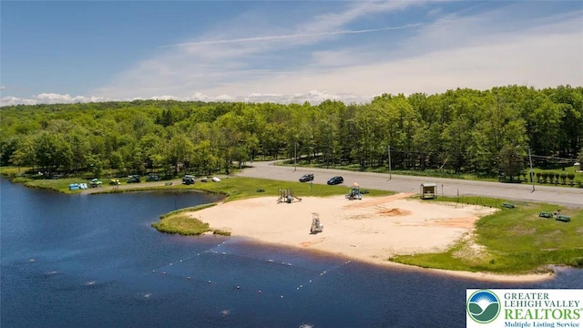 271 Shore Dr, Tunkhannock Township, PA 18210 - photo 43