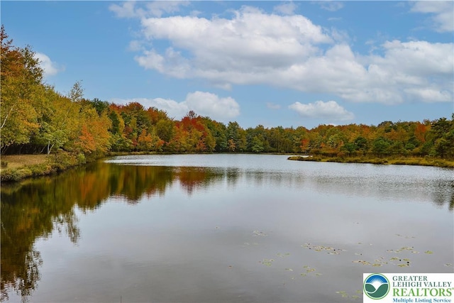 271 Shore Dr, Tunkhannock Township, PA 18210 - photo 44