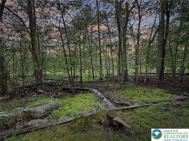 8252 Natures Dr, Coolbaugh Twp, PA 18466 - photo 20