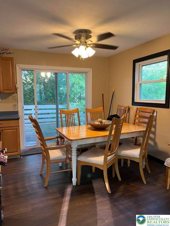 1007 Calypso, Wayne, PA 18436 - dining room with ceiling fan, plenty of natural light, and dark wood-type flooring