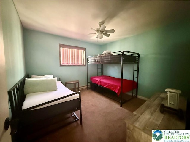 193 Canterbury Rd, Lehman Twp, PA 18324 - bedroom with carpet flooring and ceiling fan