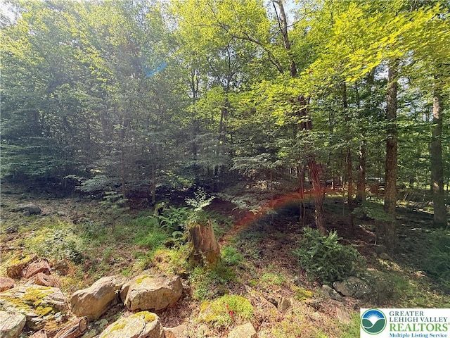 193 Canterbury Rd, Lehman Twp, PA 18324 - view of wooded area