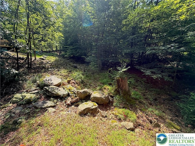 193 Canterbury Rd, Lehman Twp, PA 18324 - view of woods