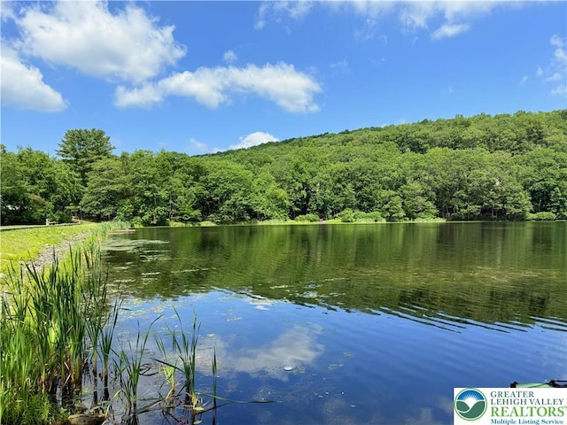 193 Canterbury Rd, Lehman Twp, PA 18324 - water view with a forest