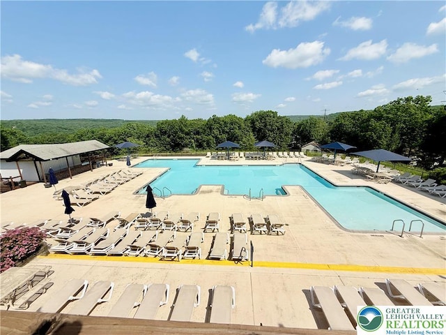 193 Canterbury Rd, Lehman Twp, PA 18324 - community pool with a patio