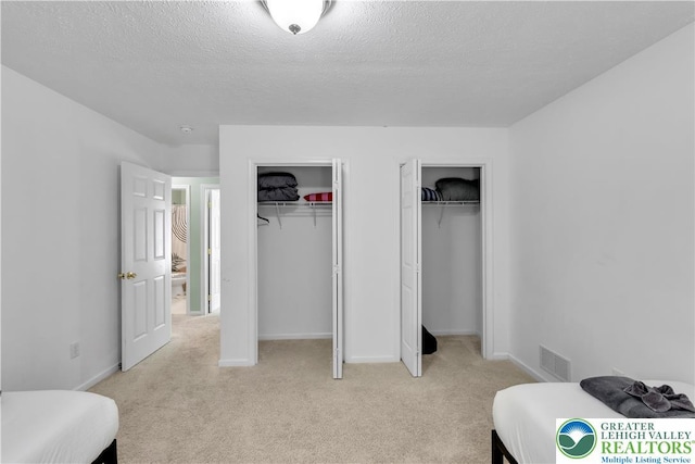 672 Clearview St, Tobyhanna Twp, PA 18334 - bedroom with two closets, light carpet, and a textured ceiling
