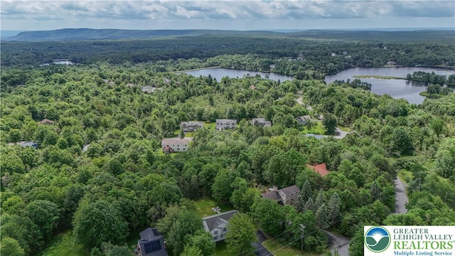672 Clearview St, Tobyhanna Twp, PA 18334 - bird's eye view of a heavily wooded area and a nearby body of water