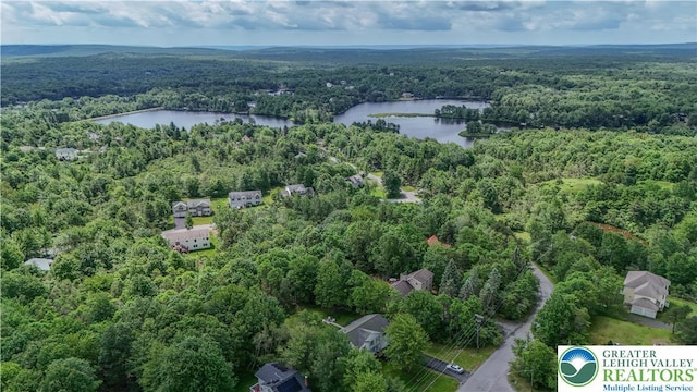 672 Clearview St, Tobyhanna Twp, PA 18334 - aerial view of property's location with a forest and a nearby body of water