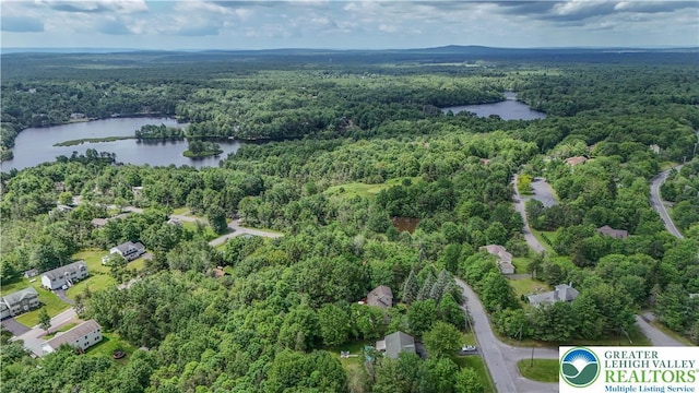 672 Clearview St, Tobyhanna Twp, PA 18334 - view of property location with a forest and a nearby body of water