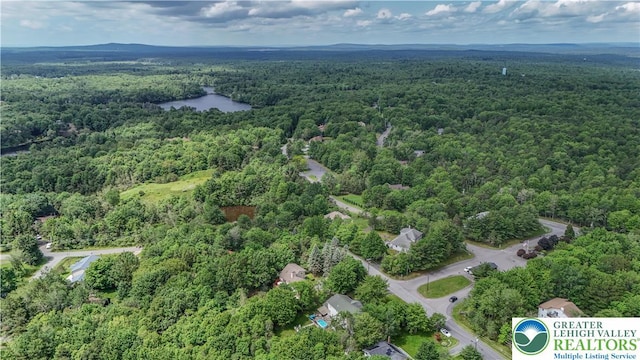 672 Clearview St, Tobyhanna Twp, PA 18334 - view of property location with a heavily wooded area and a large body of water