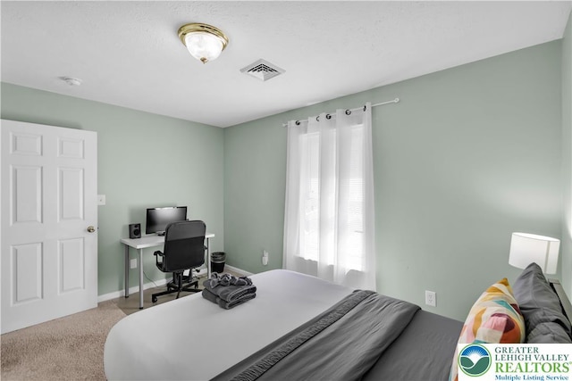 672 Clearview St, Tobyhanna Twp, PA 18334 - bedroom with carpet and a desk