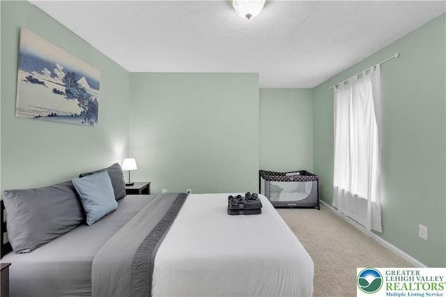 672 Clearview St, Tobyhanna Twp, PA 18334 - bedroom featuring carpet and a textured ceiling