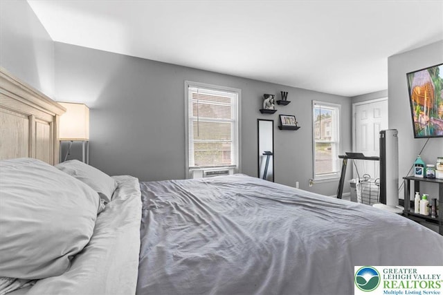 2233 Fox Run, Wilson Boro, PA 18042 - bedroom with multiple windows