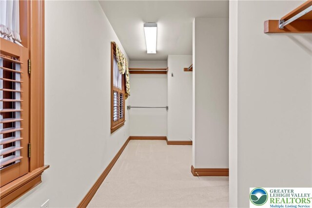 6513 Station Vw, Upper Milford Twp, PA 18092 - corridor featuring carpet and baseboards