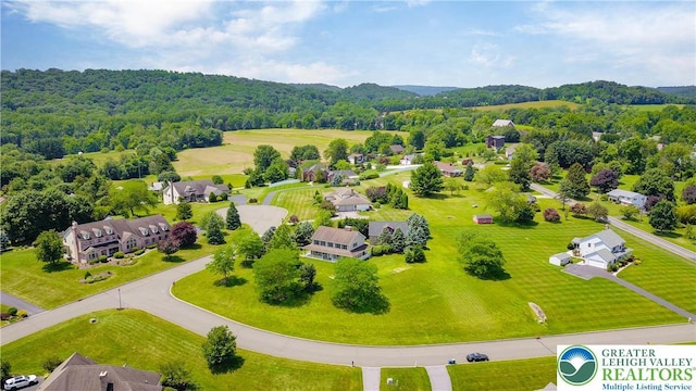 6513 Station Vw, Upper Milford Twp, PA 18092 - aerial view of a forest