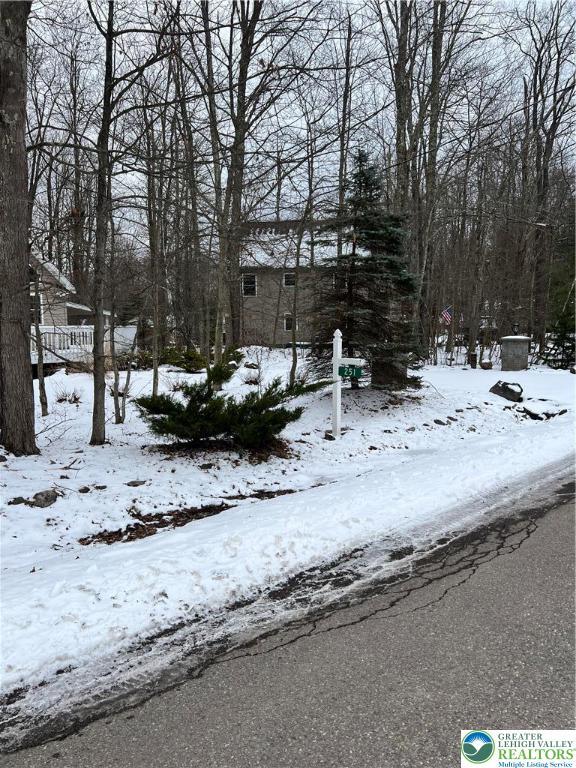 249 Choctaw Dr, Coolbaugh Twp, PA 18347 - view of snowy yard