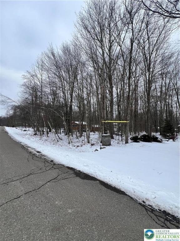 249 Choctaw Dr, Coolbaugh Twp, PA 18347 - view of snowy yard