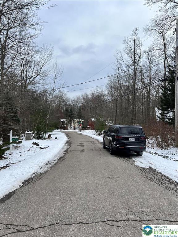 249 Choctaw Dr, Coolbaugh Twp, PA 18347 - view of asphalt street