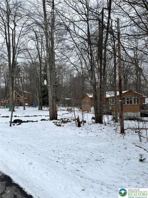 249 Choctaw Dr, Coolbaugh Twp, PA 18347 - view of yard layered in snow