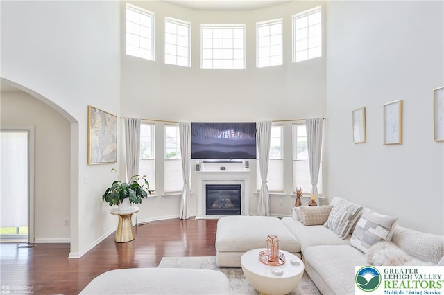 249 Danbury Dr, Upper Nazareth Twp, PA 18064 - living room with wood finished floors, a high ceiling, arched walkways, and a premium fireplace