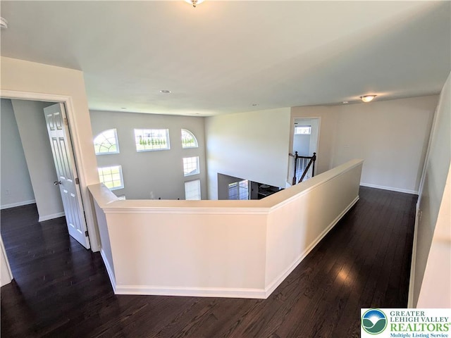 237 Danbury Dr, Upper Nazareth Twp, PA 18064 - hall with an upstairs landing, dark wood finished floors, and plenty of natural light