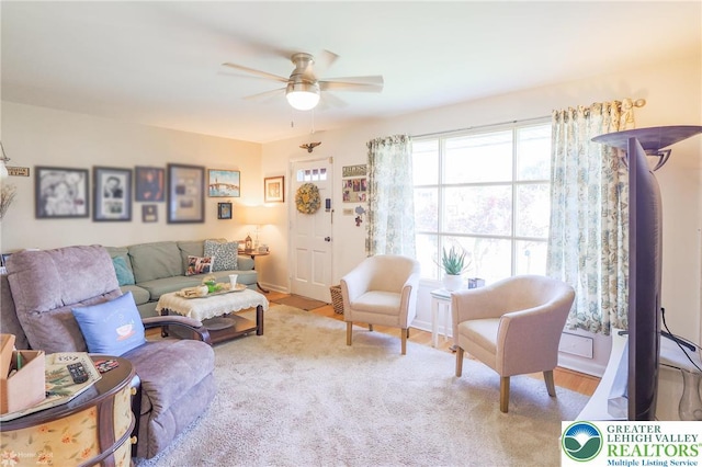 4306 Emerick Ter, Easton, PA 18045 - living room with a ceiling fan