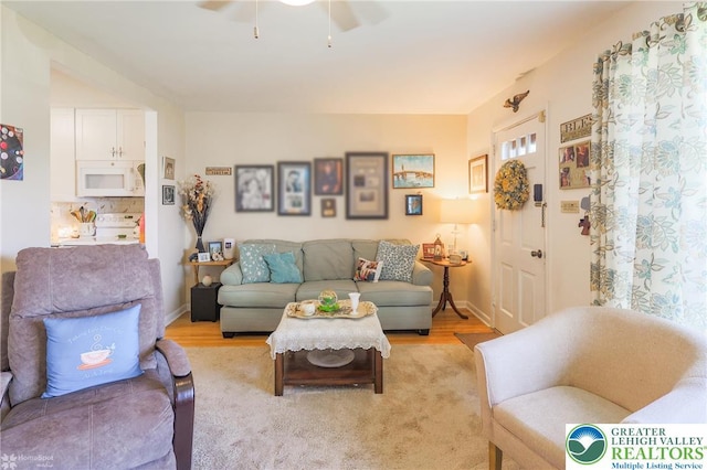 4306 Emerick Ter, Easton, PA 18045 - living area with light wood-type flooring and ceiling fan