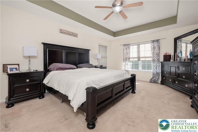 1989 Strathmore Dr, Macungie Boro, PA 18062 - bedroom with light colored carpet, multiple windows, and a tray ceiling