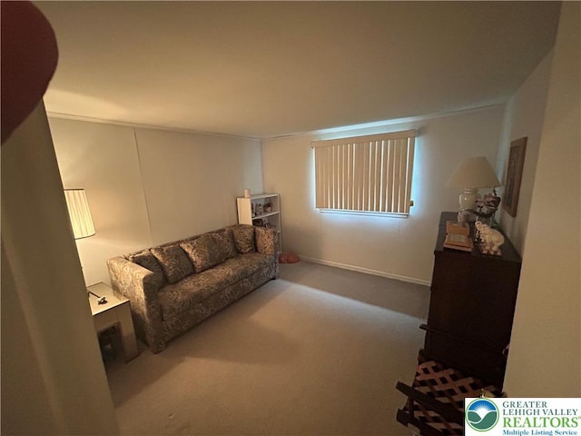 4941 Glenview St, North Whitehall Twp, PA 18078 - view of carpeted living room