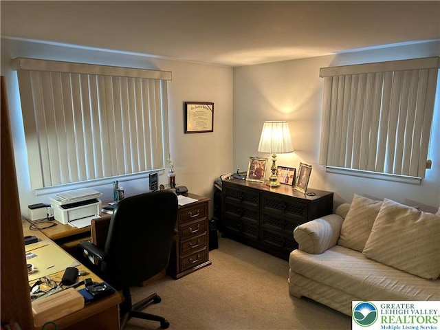 4941 Glenview St, North Whitehall Twp, PA 18078 - home office with carpet floors