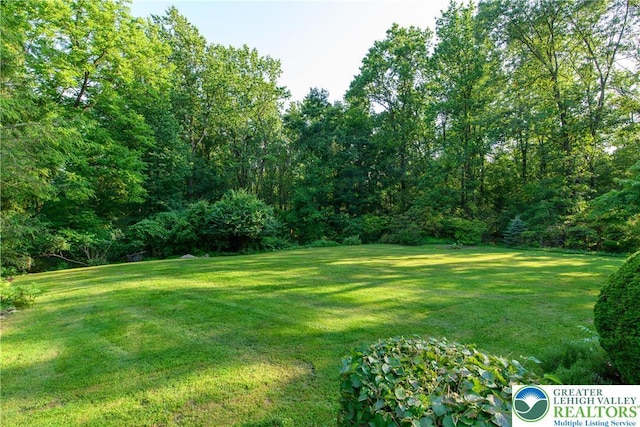 4015 Sycamore Dr, Lehigh Twp, PA 18067 - view of grassy yard