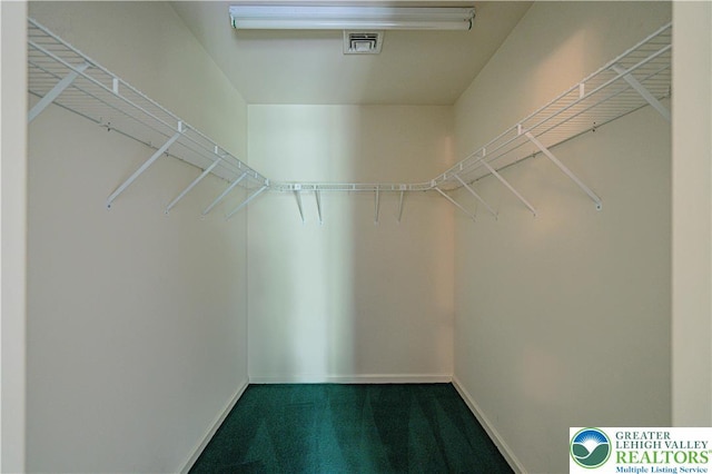 26 Chestnut Commons Ct, Easton, PA 18040 - spacious closet with carpet