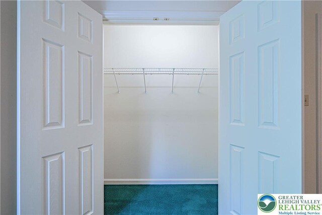 26 Chestnut Commons Ct, Easton, PA 18040 - walk in closet featuring carpet
