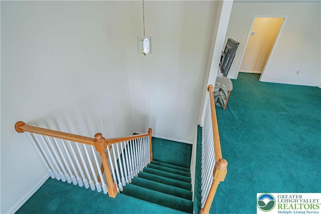 26 Chestnut Commons Ct, Easton, PA 18040 - stairs featuring carpet floors